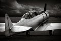 warbird Royalty Free Stock Photo