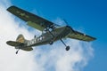 Warbirds - Bird Dog in flight