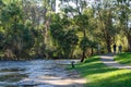 Warburton river and a gravel footpath along riverbank. Beautiful scenery and nature environment of a freshwater stream.