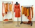 Wardrobe with orange clothes arranged on hangers and a dress on a mannequin.