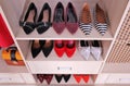 Wardrobe shelves with different shoes