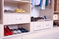 Wardrobe shelves with different shoes