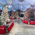 Warehouse with beautifully decorated Christmas Trees and Ornaments for sale Royalty Free Stock Photo