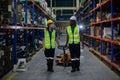 Warehouse industrial stock storage, man and woman worker wear safety uniform push load cart product to shelf in warehouse store. Royalty Free Stock Photo