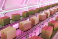 Warehouse reflecting in pink light with carton boxes on conveyers. 3d render Royalty Free Stock Photo