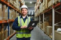 Warehouseman checking delivery, stock in warehouse on laptop. Warehouse manager using warehouse management software, app Royalty Free Stock Photo