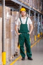 Warehouseman standing in storage