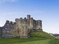 Warkworth Castl in Northumberland, UK with daffodils in bloom