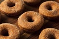 Warm Apple Cider Donuts Royalty Free Stock Photo