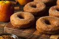 Warm Apple Cider Donuts Royalty Free Stock Photo