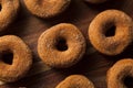 Warm Apple Cider Donuts Royalty Free Stock Photo