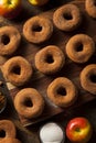 Warm Apple Cider Donuts Royalty Free Stock Photo