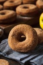 Warm Apple Cider Donuts Royalty Free Stock Photo