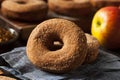 Warm Apple Cider Donuts Royalty Free Stock Photo