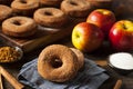 Warm Apple Cider Donuts Royalty Free Stock Photo