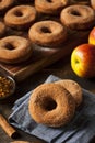 Warm Apple Cider Donuts Royalty Free Stock Photo