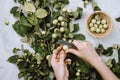 Warm autumn flatlay with apple branches, fruits, twine and woman`s hands