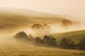 Warm autumn or summer scenery in a forest with the sun casting beautiful rays of light through the mist and trees Royalty Free Stock Photo