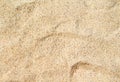 Warm beach sand closeup for background. Tropical beach photo