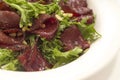 Warm beef salad Royalty Free Stock Photo
