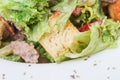 Warm beef salad with croutons. Royalty Free Stock Photo