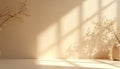 Warm beige studio with leaf shadows and soft light. Empty surface for product display or presentation. Neutral interior backdrop Royalty Free Stock Photo