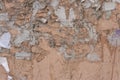 Warm beige texture of torn off old street wall ads Royalty Free Stock Photo