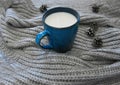Warm blue mug with milk and warm knitted scarf Royalty Free Stock Photo