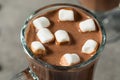 Warm Boozy Hot Cocoa Chocolate in a Mug