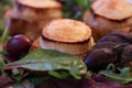 Warm chevre chaud goat cheese baked on rustic bread with green salad and olives. Traditional french dish in close-up