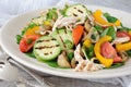 Warm chicken salad with vegetables Royalty Free Stock Photo