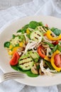 Warm chicken salad with vegetables Royalty Free Stock Photo