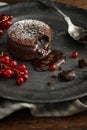 Warm Chocolate Lava Cake with Red Currants Royalty Free Stock Photo