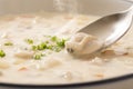 Warm clam chowder