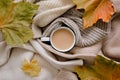 Warm clothes and cup of hot coffee, tea with milk. Autumn mood. The concept of home comfort, cozy mood and autumn morning. Royalty Free Stock Photo