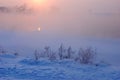 Warm cold winter sunset Royalty Free Stock Photo