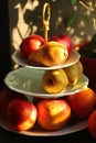 Warm color sunlit pears apples oranges fruits on three tier porcelain stand server next to a ficus pot plant on window sill Royalty Free Stock Photo