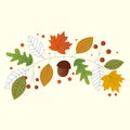 warm and colorful autumn illustrations. leaves and berries, acorns and thin branches