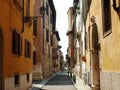 Warm and Colorful Old Street in Verona - Summer in Italy