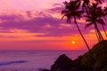 Warm colorful tropical sunset over the ocean with coconut palm tree silhouettes Royalty Free Stock Photo