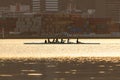 Girls Rowing Team Passing Cargo Containers During Golden Sunset