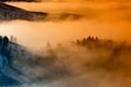 Warm colors of sunrise bathe fog caused by a weather inversion Royalty Free Stock Photo