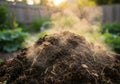 Warm Compost Pile Steaming in a Summer Garden Royalty Free Stock Photo