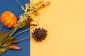 Warm and cool fall seasonal blue and yellow flatlay with festive pumkins, pine cones, and harvest plants for open concept and copy