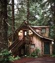 A warm cozy cabin in the rain forest of Alaska near Seward Royalty Free Stock Photo