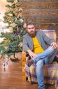 Warm and cozy christmas atmosphere at home. Home is best place. Man bearded hipster relax sit armchair near christmas Royalty Free Stock Photo