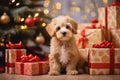 Warm, cozy Christmas decorated home for family holidays. Little puppy dog sitting near Christmas tree with many present