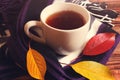 Warm cozy scarf around cup of tea