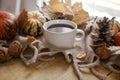 Warm cup of tea, pumpkins, autumn leaves, cones, cozy scarf on rustic wooden table in farmhouse. Cozy fall in rural home. Happy Royalty Free Stock Photo