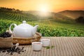 Warm cup of tea with teapot, green tea leaves and dried herbs on the bamboo mat at morning in plantations background with empty Royalty Free Stock Photo